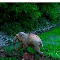 thitivorada_2519