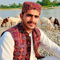 sindhichocro26