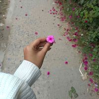 _oyshee_1623