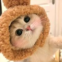 original sound - princess🎀