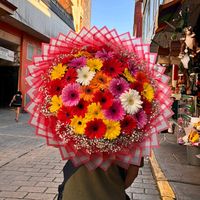 bloombay7