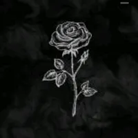 original sound - user5877541659293