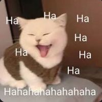 nhạc nền - Em bé 🎀