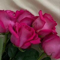 leylahesenli__