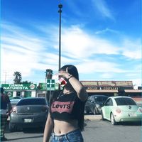 linadolly3