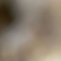 _jsaka19