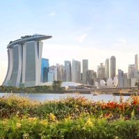 whatinthesingapore