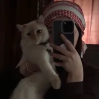 original sound - example.00