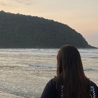 _manualvess1