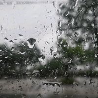 오리지널 사운드 - 용용이