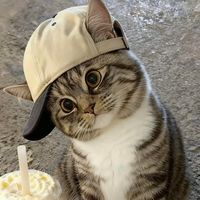 original sound - aung mine11●♡