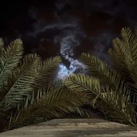 الصوت الأصلي