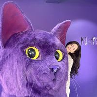 yun_lemi
