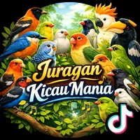 DJ ALOK HAMIL NO COUNTER