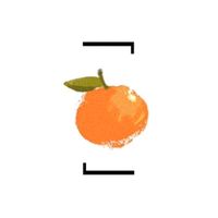 fresh.mikan