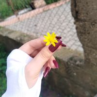 s.edora6