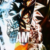 camel.goku