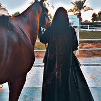 bnt_jumirah