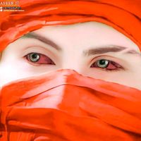 mshahzad111333
