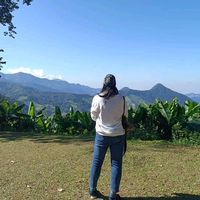 เสียงต้นฉบับ - ทานตะวัน