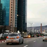 orann313