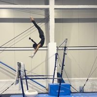 ..iconicgymnast