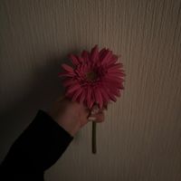 オリジナル楽曲 - 蘭