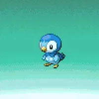 original sound - akashamins