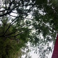 sweett_aka