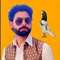 tasawar16234567