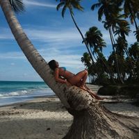 synaramirella