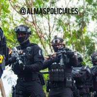 almaspolicialess