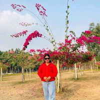 moktansheya1