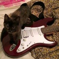 original sound - bb_metas