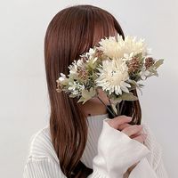 allwhite_style