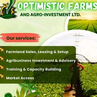 optimistic_farms