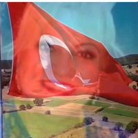 orijinal ses