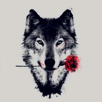lonely_wolf_7070