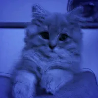 original sound - myfyorda_