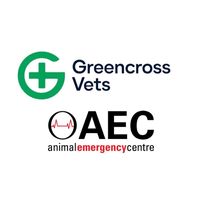 greencrossgabba