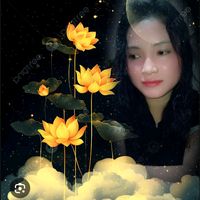 nhạc nền - 🌻