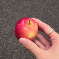 original sound - still riize 😋