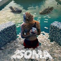 2soma Stoka