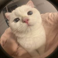 オリジナル楽曲 - m