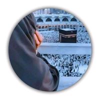 shazdijee7860