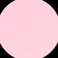 diaryofzainab