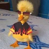 original sound - minkhantzaw2005