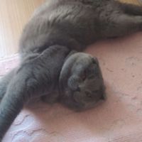 catqueenu3u