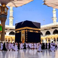 ayeshaashraf80