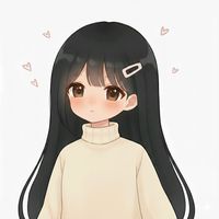 so_i43